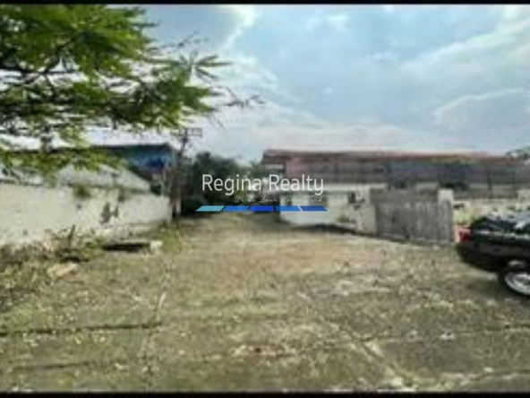 WhatsAppImage2026-03-11at10.51.29